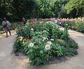 T-20150822-141752_IMG_4993-7a