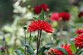 T-20150822-141808_IMG_1121-6