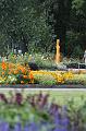 T-20150822-145916_IMG_1153-6
