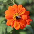 T-20150822-151912_IMG_1198-6a
