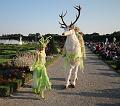 T-20150822-183951_IMG_1210-6a