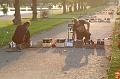 T-20150822-191742_IMG_5299-7