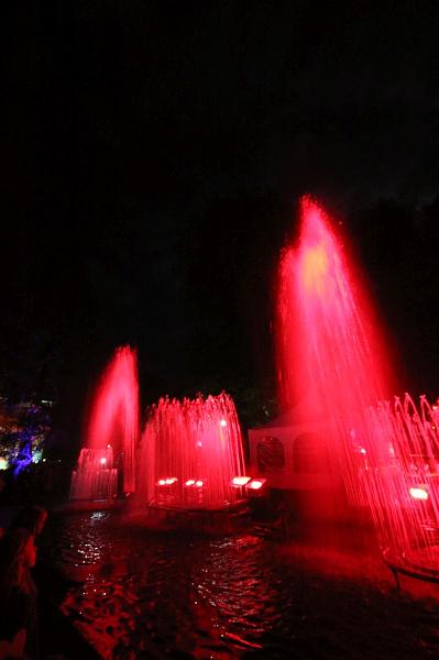 T-20150829-221518_IMG_6463-7.JPG