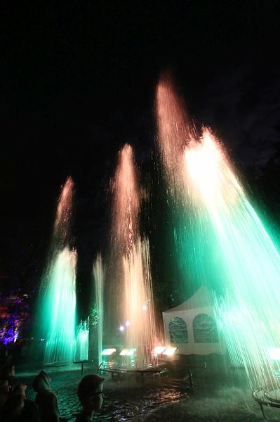 T-20150829-222052_IMG_6555-7.JPG