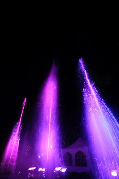 T-20150829-222227_IMG_6600-7.JPG
