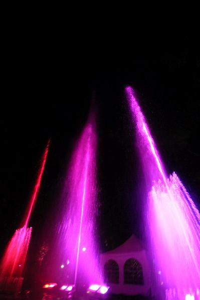 T-20150829-222228_IMG_6602-7.JPG