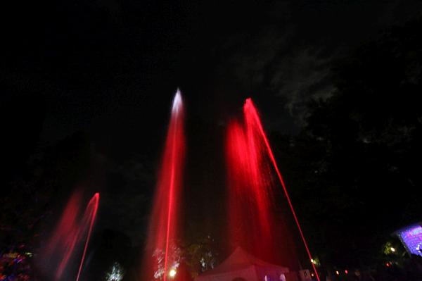 T-20150829-222319_IMG_6607-7.JPG