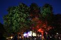 T-20150829-210541_IMG_6309-7