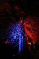 T-20150829-224336_IMG_6717-7