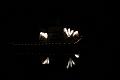 T-20150906-222701_IMG_1654-6