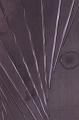 T-20151016-203944_IMG_9085-6