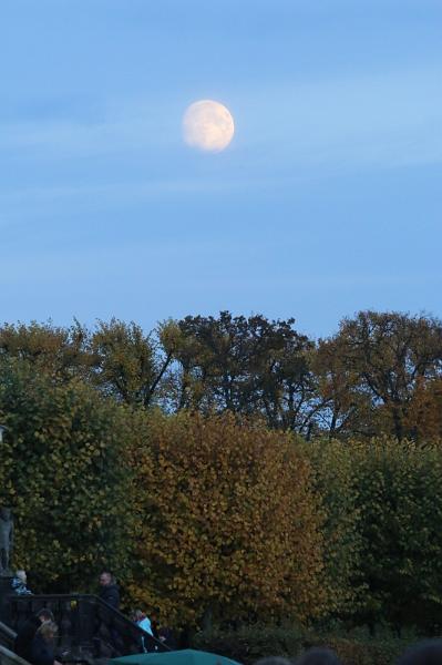 T-20151025-180345_IMG_9791-7.JPG