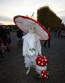 T-20151025-175624_IMG_8580-6a