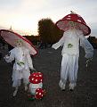 T-20151025-175646_IMG_8583-6a