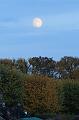 T-20151025-180345_IMG_9791-7