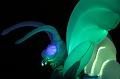 T-20151025-182949_IMG_9866-7