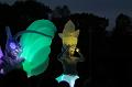 T-20151025-183008_IMG_9885-7
