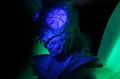 T-20151025-183125_IMG_9918-7