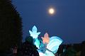 T-20151025-183242_IMG_9928-7