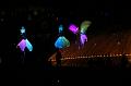 T-20151025-191542_IMG_0177-7