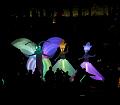 T-20151025-191620_IMG_0191-7a