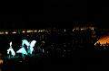 T-20151025-191757_IMG_0237-7