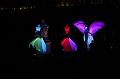 T-20151025-191833_IMG_0246-7