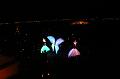 T-20151025-192350_IMG_8816-6