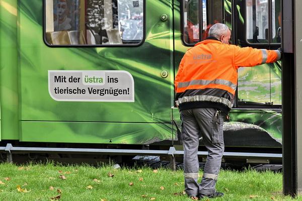 082.JPG
