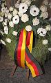 T-20151114-174937_IMG_0317-6a