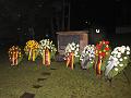 T-20151114-180318_IMG_0415-6a