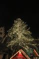 T-20151125-175117_IMG_0008-6