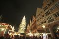 T-20151125-185603_IMG_0158-6