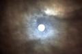 T-20151125-201645_IMG_5523-7