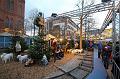 T-20151126-162523_IMG_0428-6