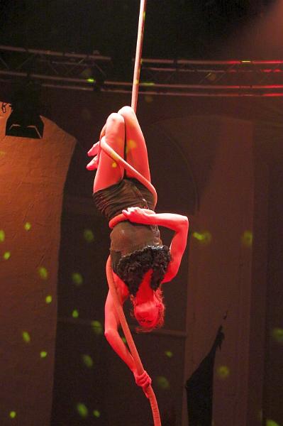 T-20151128-201237_IMG_6198-7a.jpg