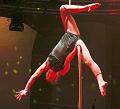 T-20151128-201217_IMG_6191-7a
