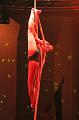 T-20151128-201403_IMG_6241-7