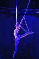 T-20151128-210135_IMG_6115-6a