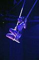 T-20151128-210141_IMG_6130-6