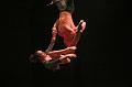 T-20151128-211558_IMG_6751-7