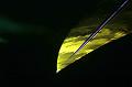T3_T-20151204-192715_IMG_7406-7