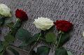 T-20151215-132647_IMG_1533-7