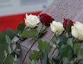 T-20151215-132651_IMG_1534-7a