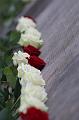 T-20151215-134259_IMG_1565-7