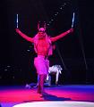 G240V1T-20151231-185736_IMG_0397-6a