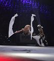 G240V2T-20160102-155226_IMG_1736-7a