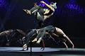 G240V2T-20160102-155314_IMG_1791-7
