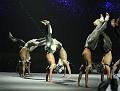 G240V3T-20160102-205118_IMG_6306-7a