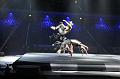 G240V3T-20160102-205354_IMG_5778-6